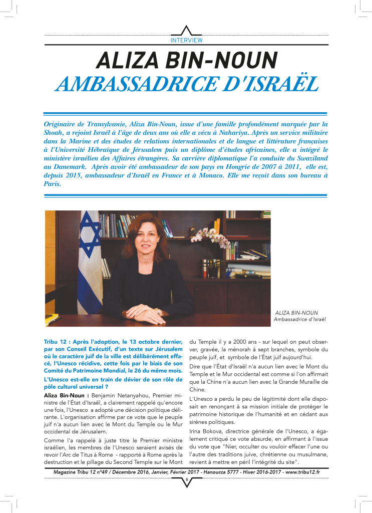 interview-aliza-bin-noun